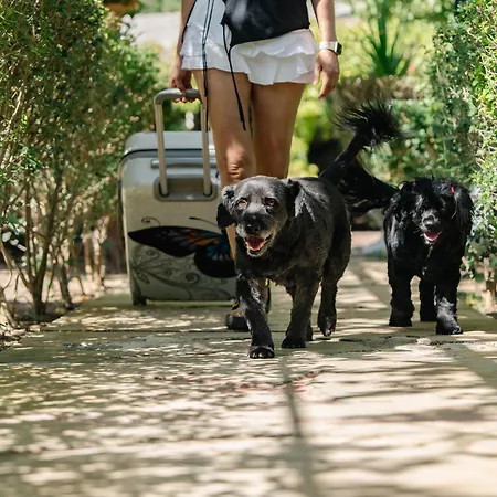 Keyif & Aparts 4* Çıralı