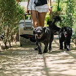 Keyif & Aparts 4* Çıralı